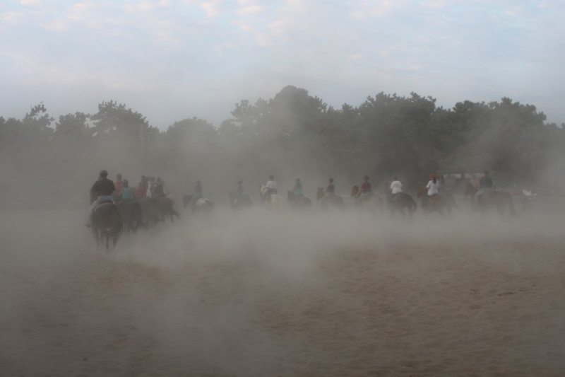 img_4828.jpg