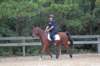 img_5833_edited1_small.jpg
