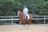 img_5846_edited1_small.jpg