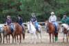 img_5907_edited1_small.jpg