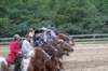 img_5911_edited1_small.jpg