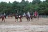 img_5938_edited1_small.jpg