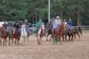 img_5943_edited1_small.jpg