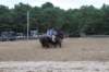 img_5954_edited1_small.jpg