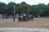 img_5959_edited1_small.jpg