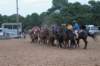 img_6072_edited1_small.jpg