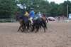 img_6074_edited1_small.jpg
