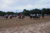 img_6081_edited1_small.jpg
