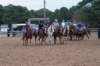 img_6084_edited1_small.jpg