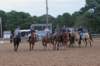 img_6086_edited1_small.jpg