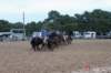 img_6107_edited1_small.jpg