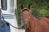 img_7361_edited1_small.jpg