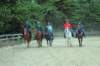 img_7381_edited1_small.jpg