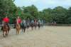 img_7384_edited1_small.jpg