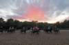 img_7428_edited1_small.jpg