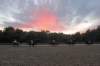 img_7429_edited1_small.jpg