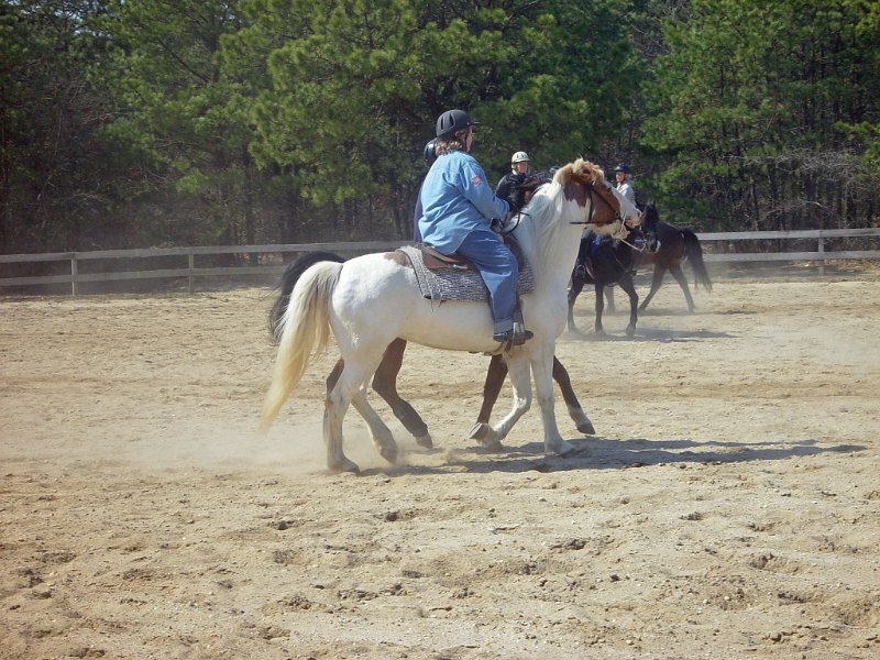 059_edited-1.JPG