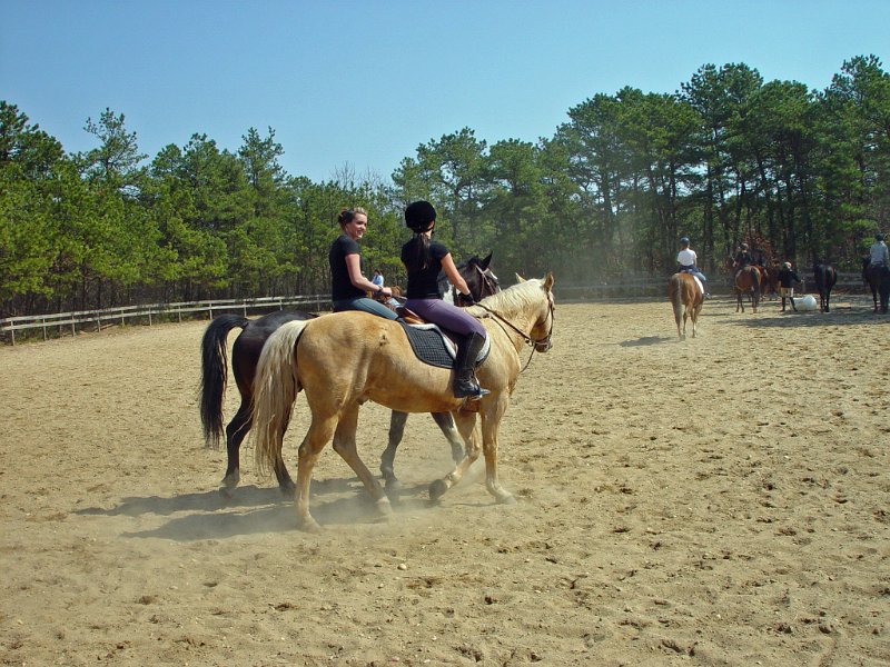 063_edited-1.JPG