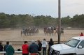 IMG_0500