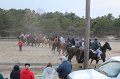 IMG_0504