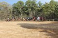 IMG_0529