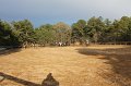 IMG_0530