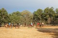 IMG_0534