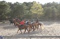 IMG_0537