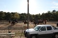 IMG_0542