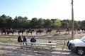 IMG_0545