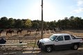 IMG_0546