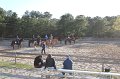 IMG_0549
