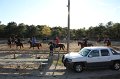 IMG_0551