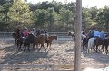 IMG_0555