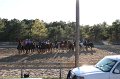 IMG_0558