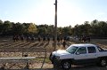 IMG_0561
