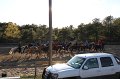 IMG_0566