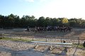 IMG_0579