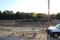 IMG_0580