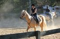 IMG_0831