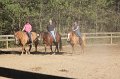 IMG_0833