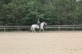IMG_1918
