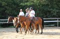 IMG_1929