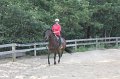 IMG_2017