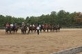 IMG_3380