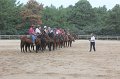 IMG_3381
