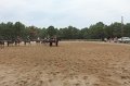 IMG_3390