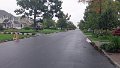 101_1920_edited-1