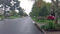 101_1921_edited-1