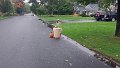 101_1923_edited-1